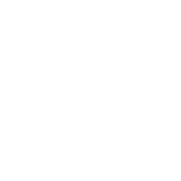 <code>SEARCH</code>